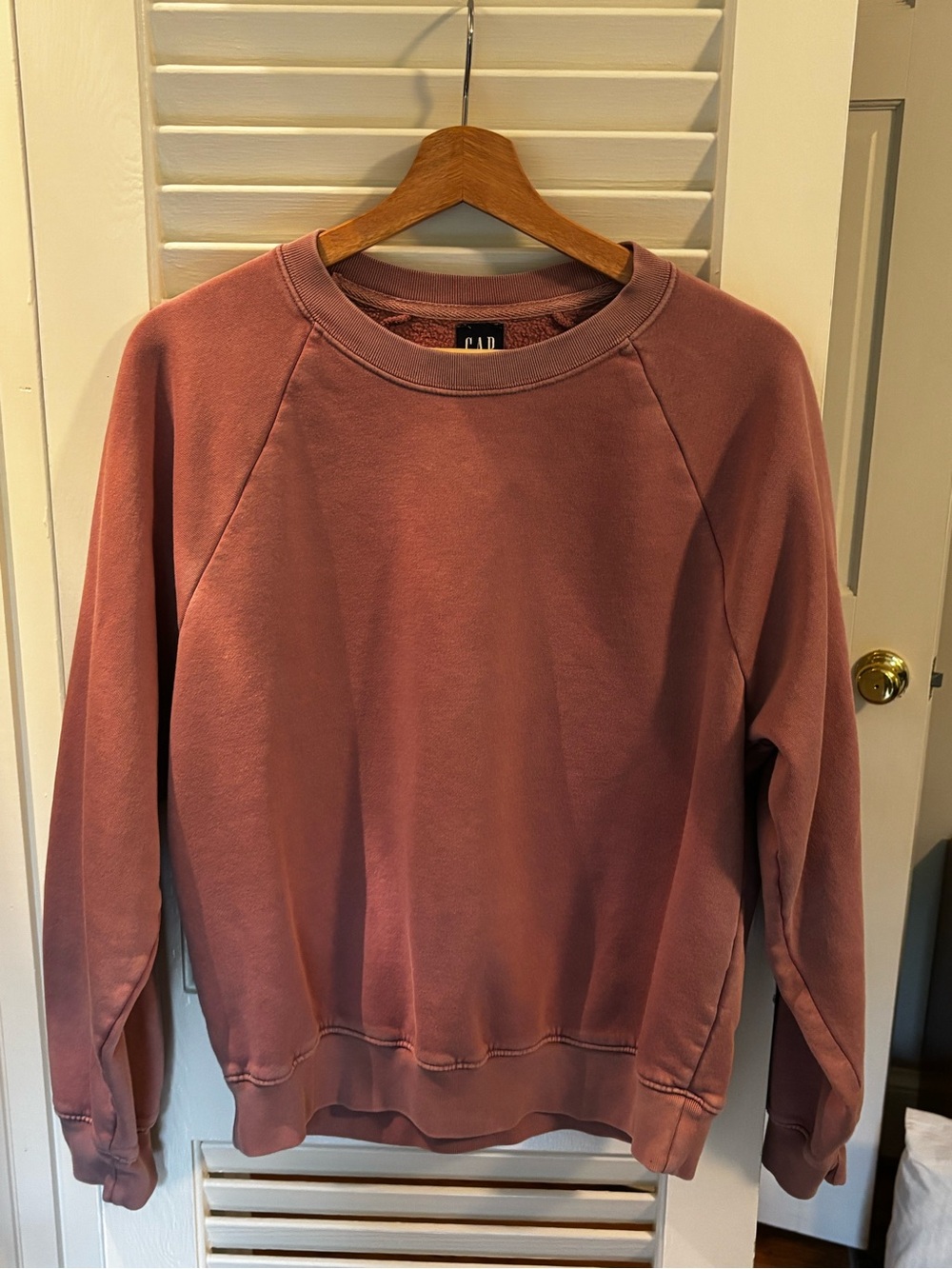 GAP Women’s VintageSoft Raglan crewneck